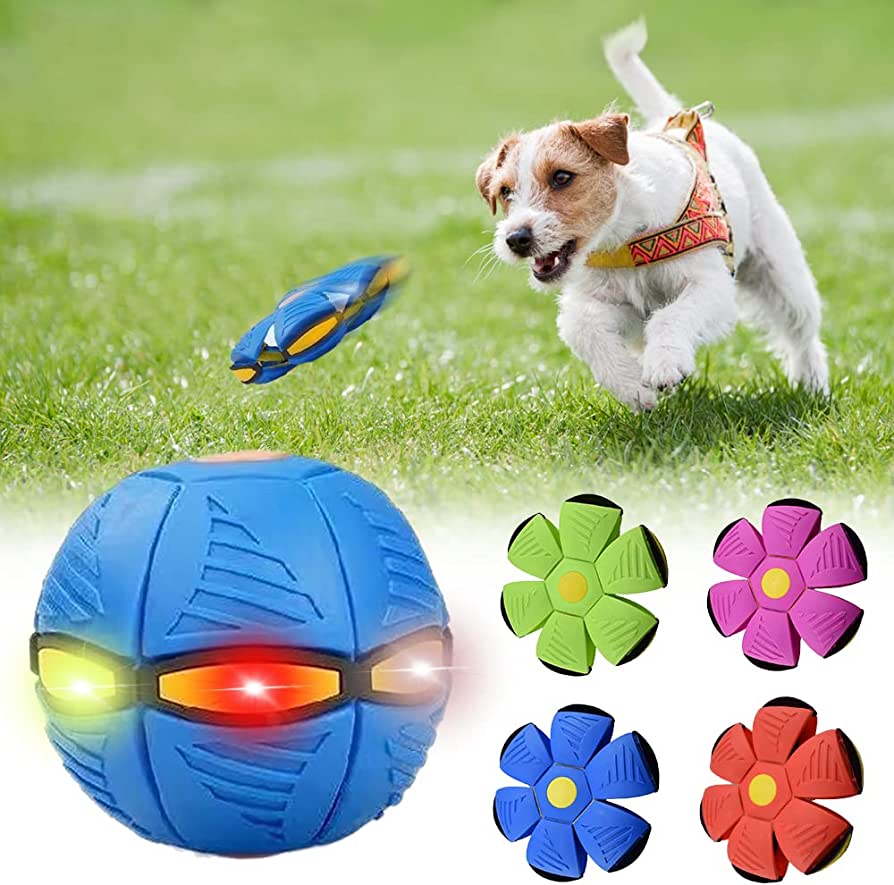 Frisbee para perros